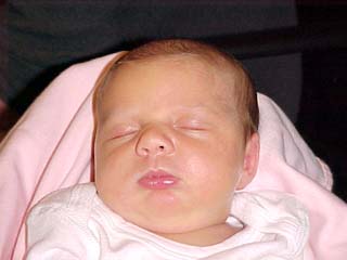 bayvin1_14
