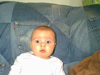 bayvin_bell_08