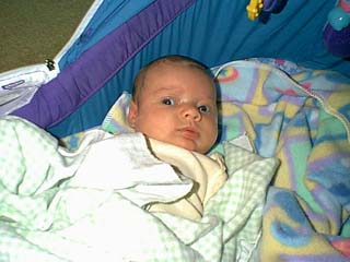 bayvin_bounce_11