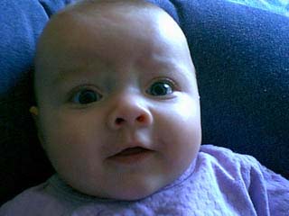 bayvin_closeup_02