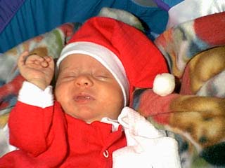 bayvins_first_sm_02