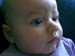 bayvin_closeup_06