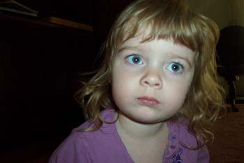 Picture 040